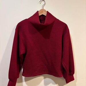 Women's Japanese Burgundy Ribbed Turtleneck Cropped Sweater